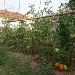 Eira Da Mila Portugal